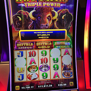 $11,893