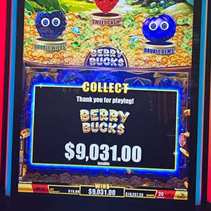 $9,031