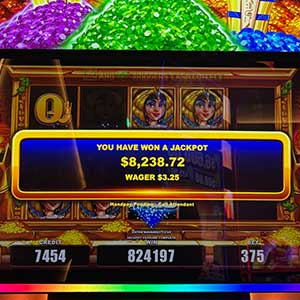 $8,238
