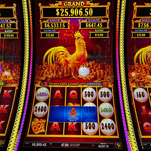 $6,637