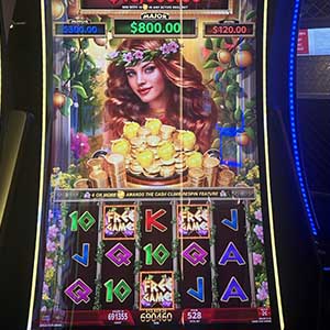 $13,809